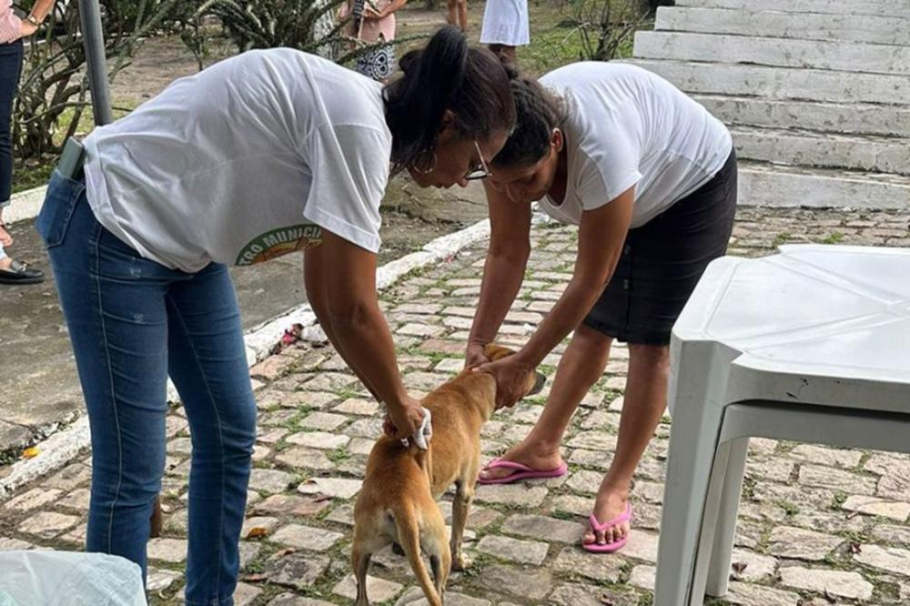 Vacinação contra raiva segue intensificada em bairros de Feira de Santana