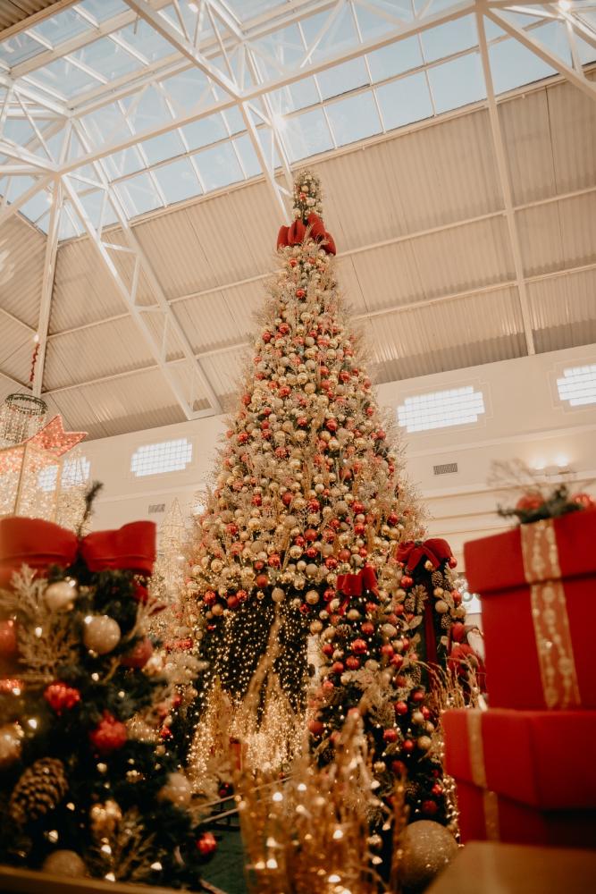 Boulevard Shopping funciona em horário especial para compras de Natal e Ano Novo 
