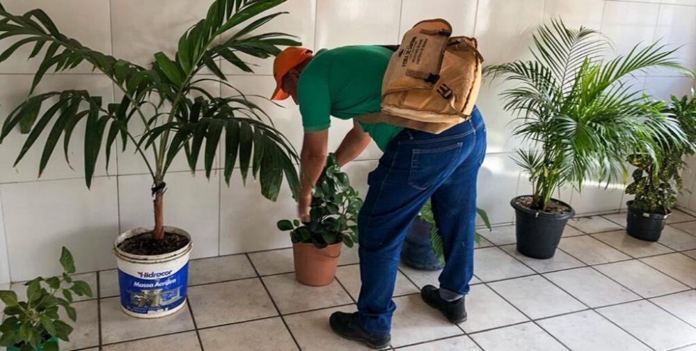 SMS alerta que combate ao aedes aegypti deve ser redobrado no verão
