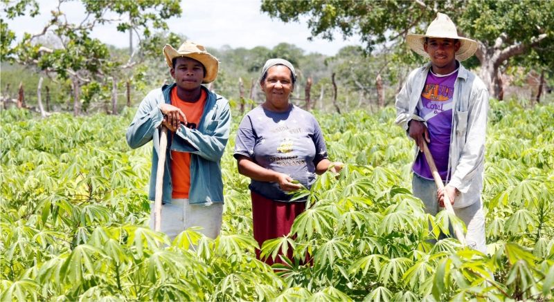 Renovada adesão ao programa Garantia Safra em Feira de Santana