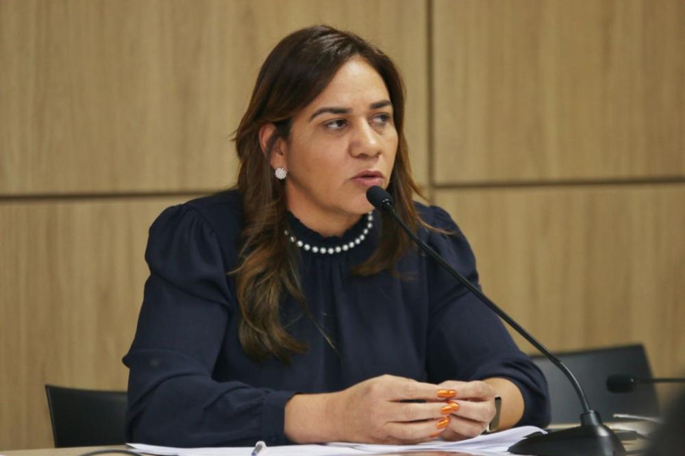 Secretária da Saúde se reunirá com 62 prefeitos para tratar combate à dengue​