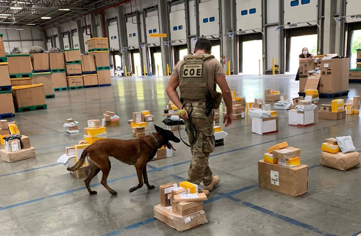 Drogas são apreendidas em mais de 30 encomendas dos Correios na Região Metropolitana de Salvador