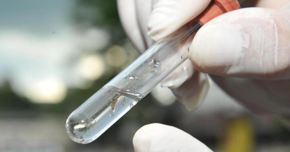 Brasil registra mais de 1 milhão de casos de dengue em 2024; mortes chegam a 214