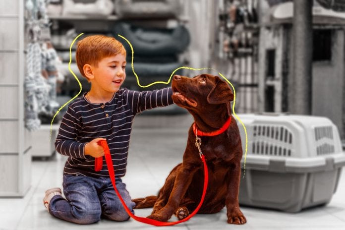 Adotar filhos ou animais ?