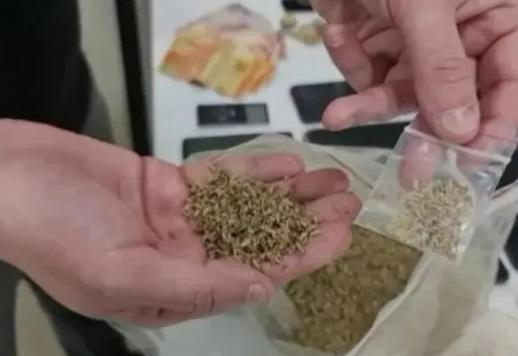 Sesab alerta para uso de nova droga sintética apreendida na Bahia