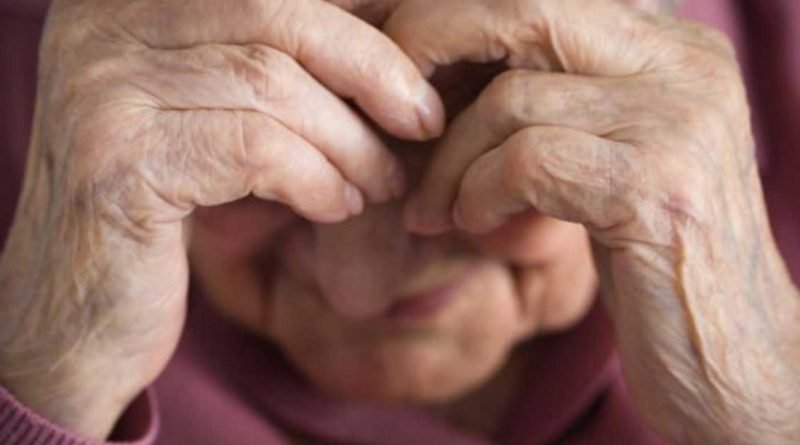 Secretaria realiza Feira de Cidadania e Combate à Violência contra a Pessoa Idosa