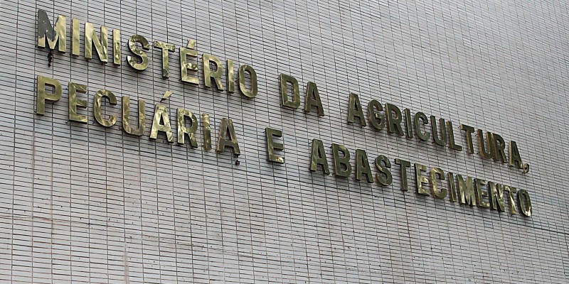 Ministério confirma casos de vaca louca em Mato Grosso e Minas Gerais